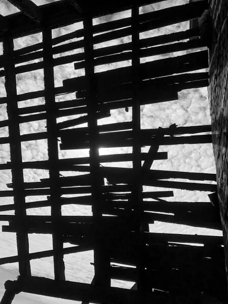 Photo 635-825-099