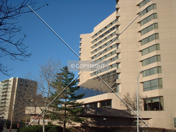 Photo 636-290-732
