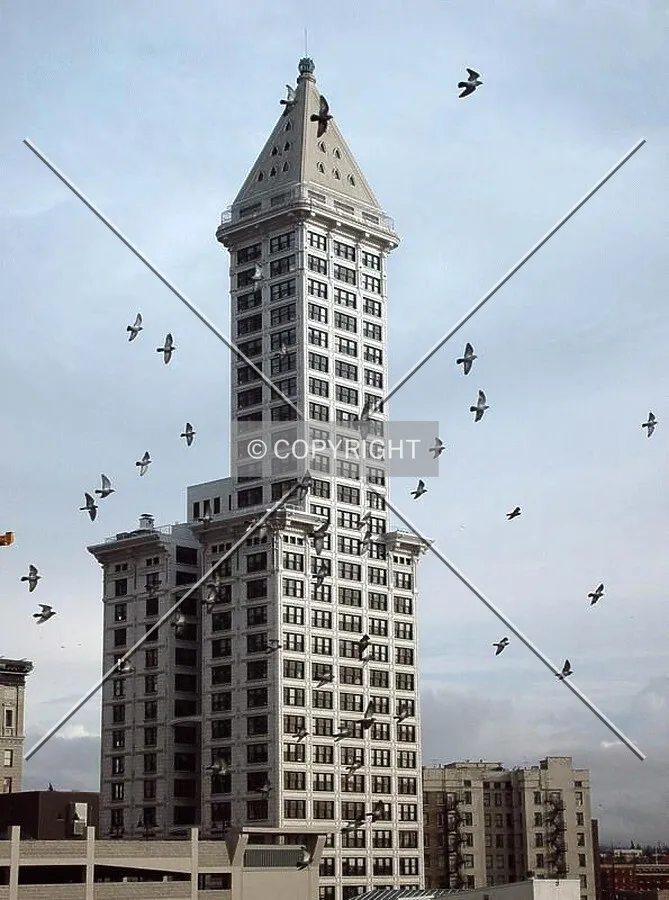 Is this tower for the birds?