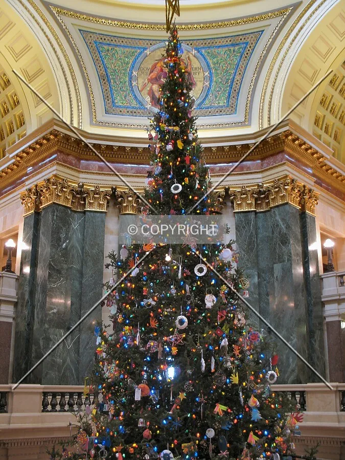 Christmas Tree from the 2nd floor