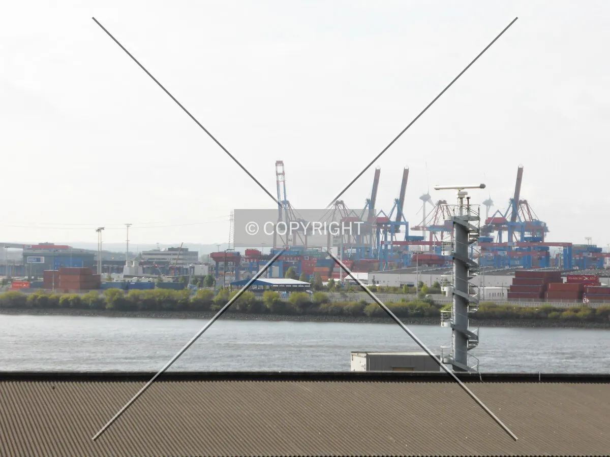 Cranes at the Elbe river