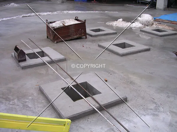 Tree holes in the entrance area