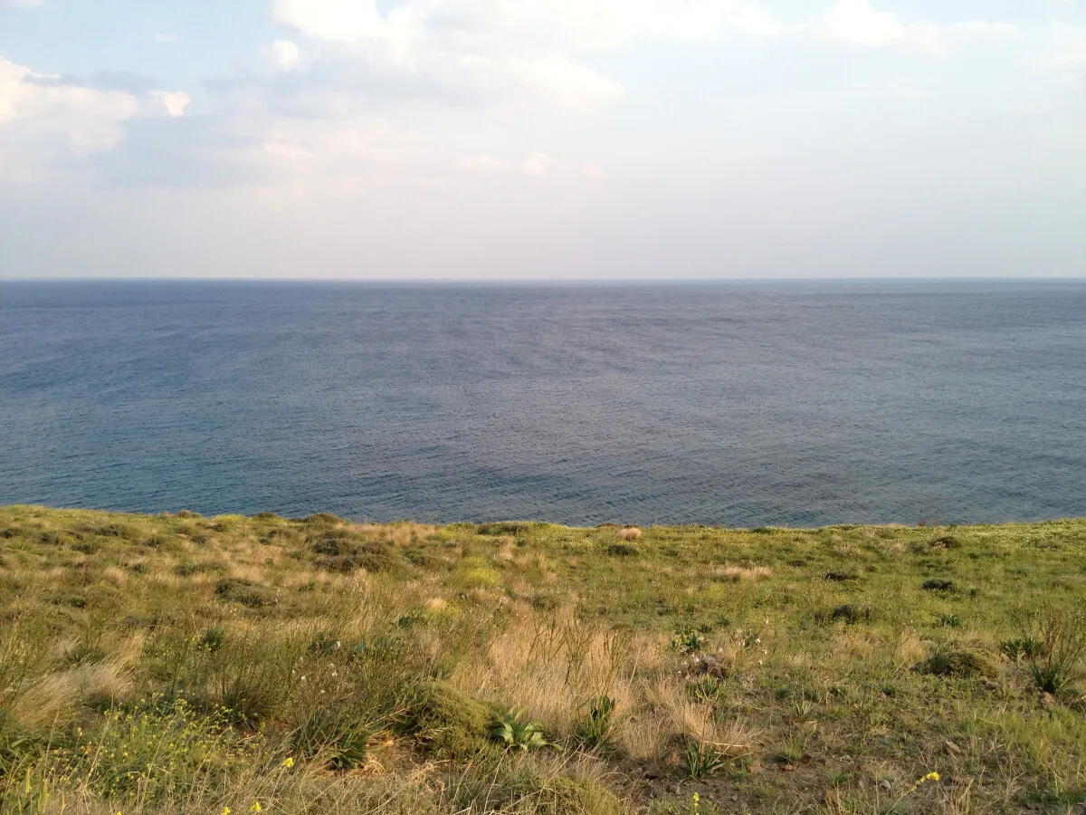Photo 637-456-564
