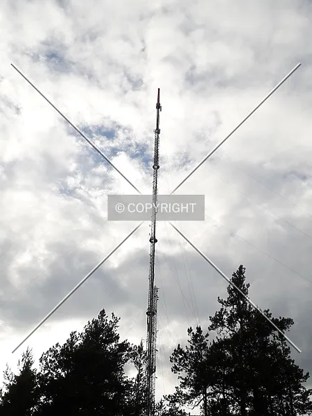 Photo 637-782-134