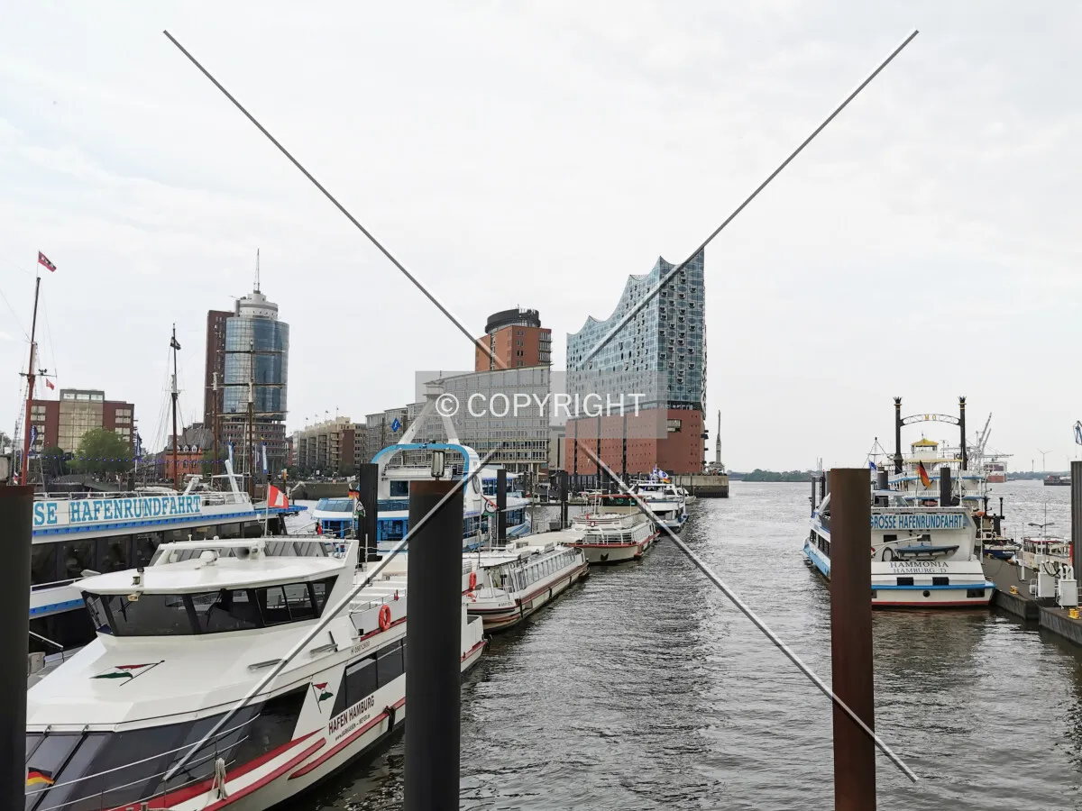 Photo 638-168-349