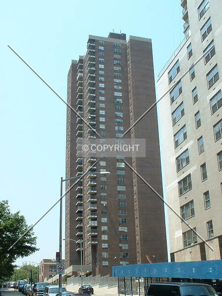 Photo 638-305-261