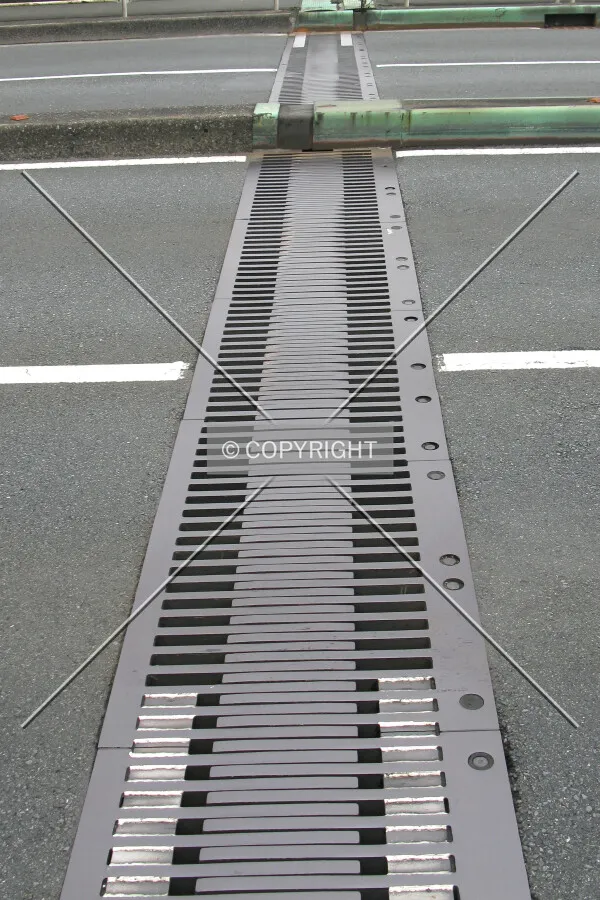 Expansion plates at the north end