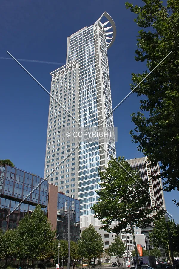 View from the southwest