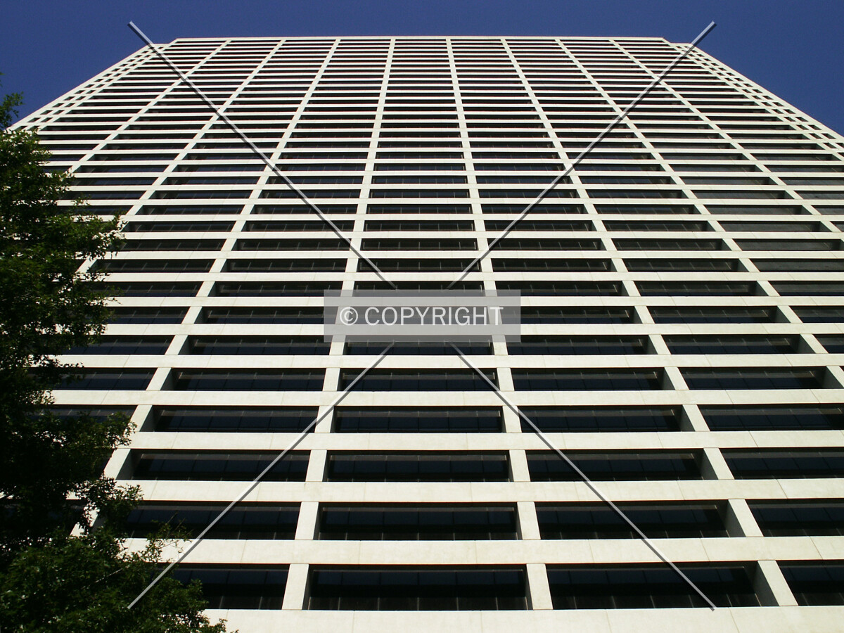 Looking up from the plaza