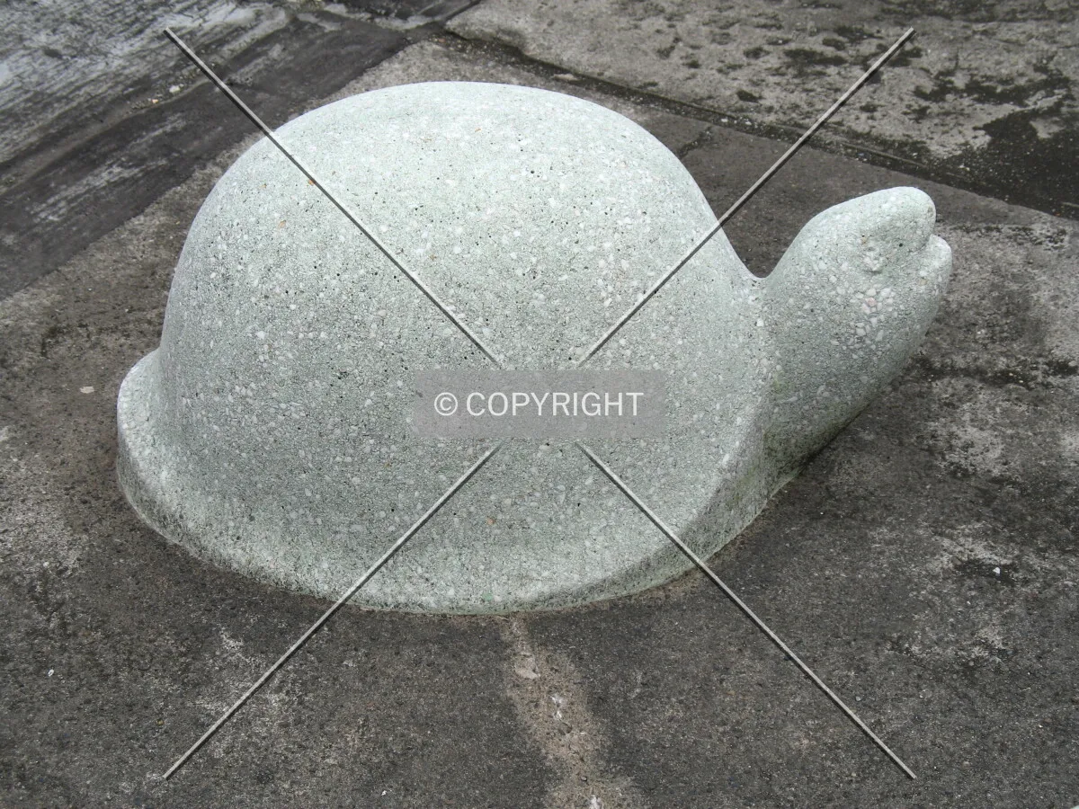 Photo 641-178-286