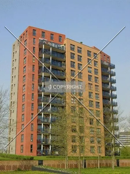 View from Borgloonstraat