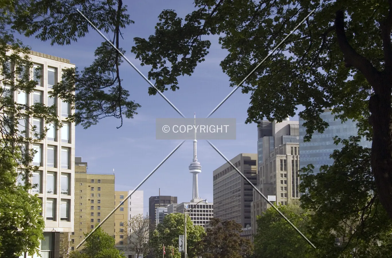 View from Queen's Park