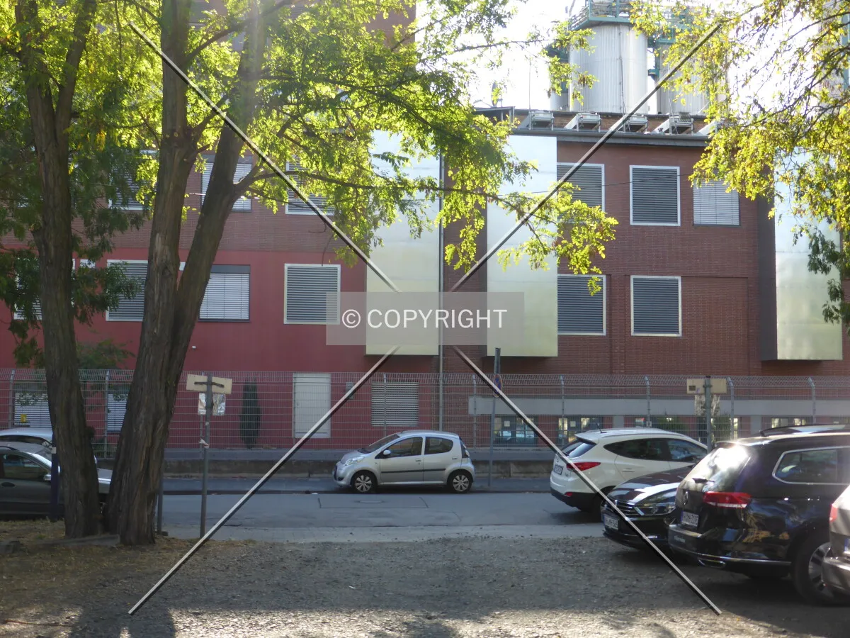 Photo 064-203-946