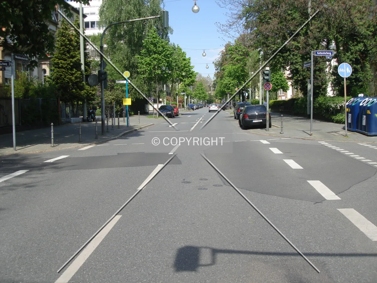 Photo 064-204-817