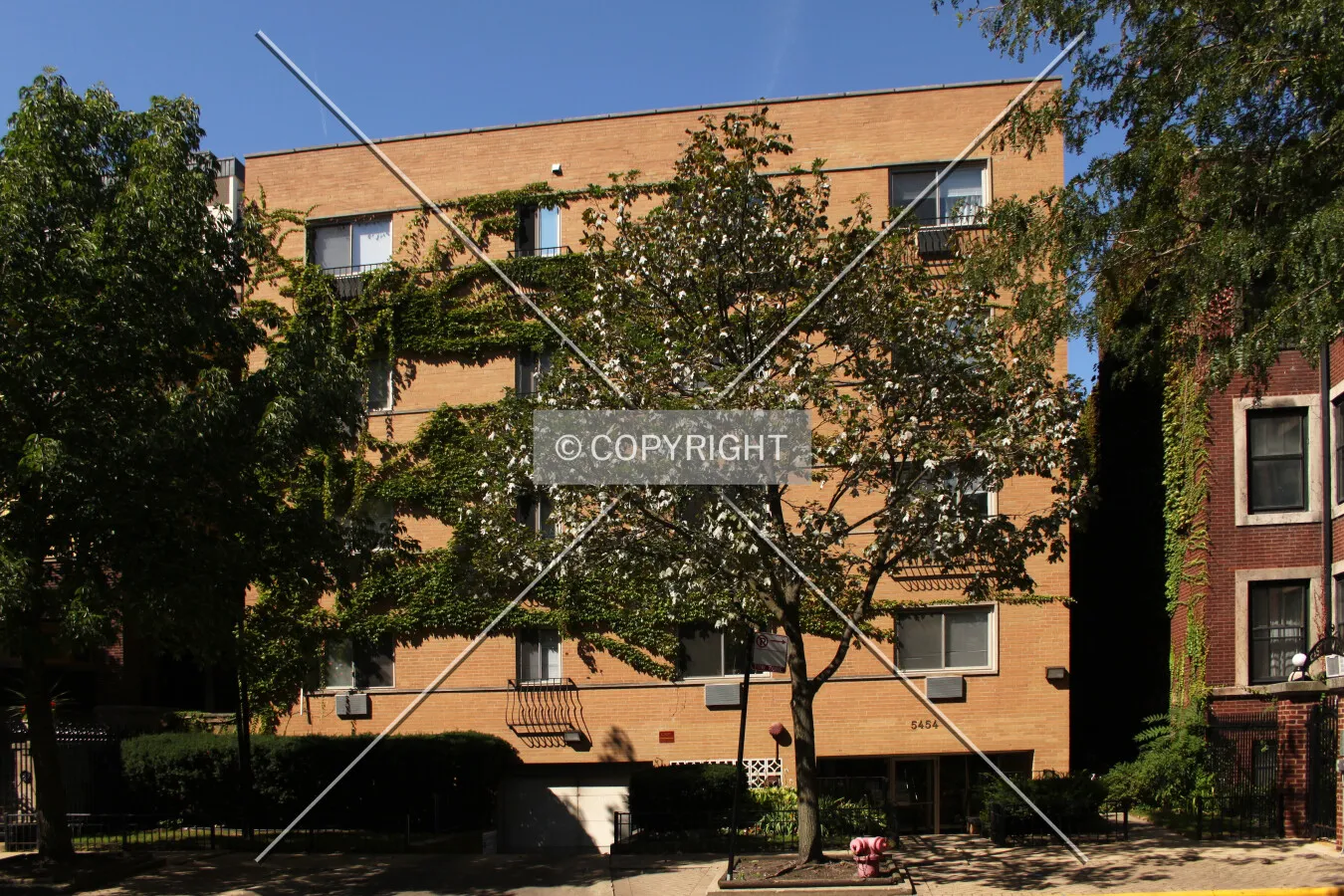 Photo 642-176-893