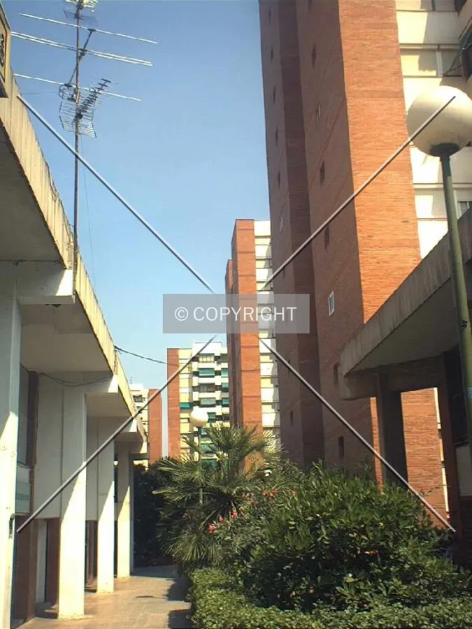 Between the buildings.