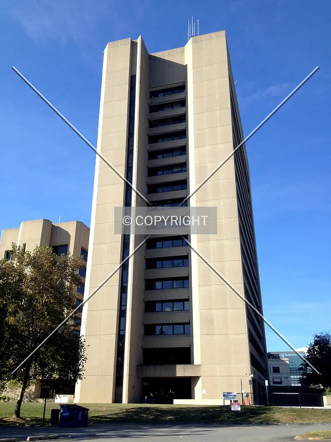 Profile from Monroe Street to the south