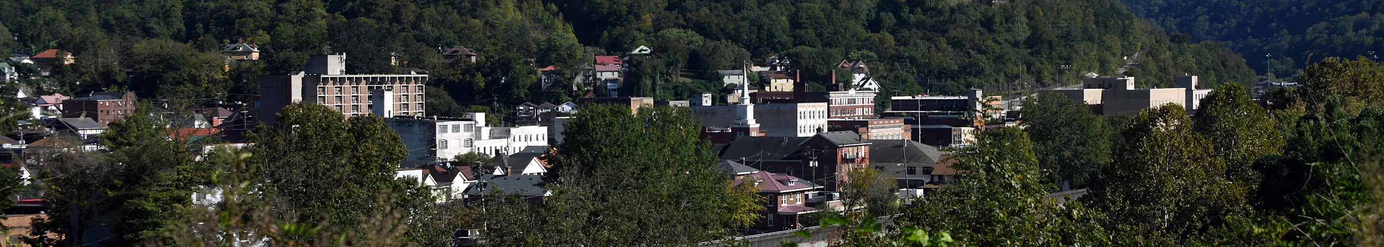 Panorama of Williamson