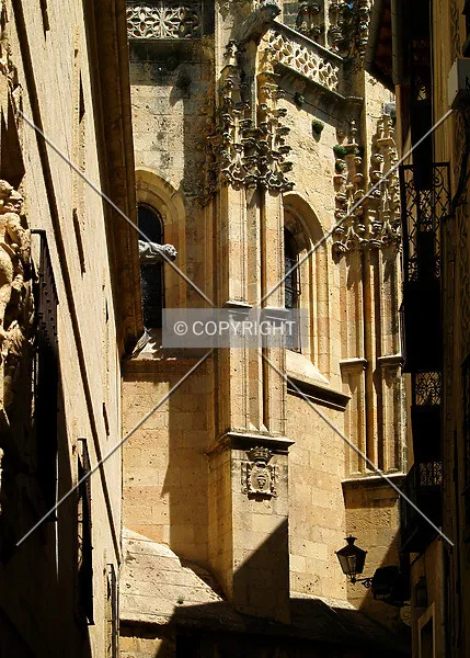 Photo 643-687-769