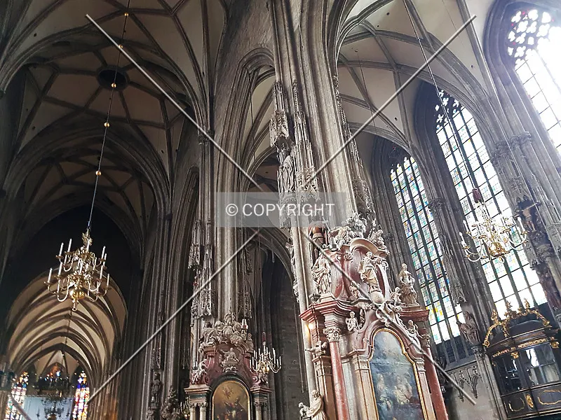 Photo 644-702-486