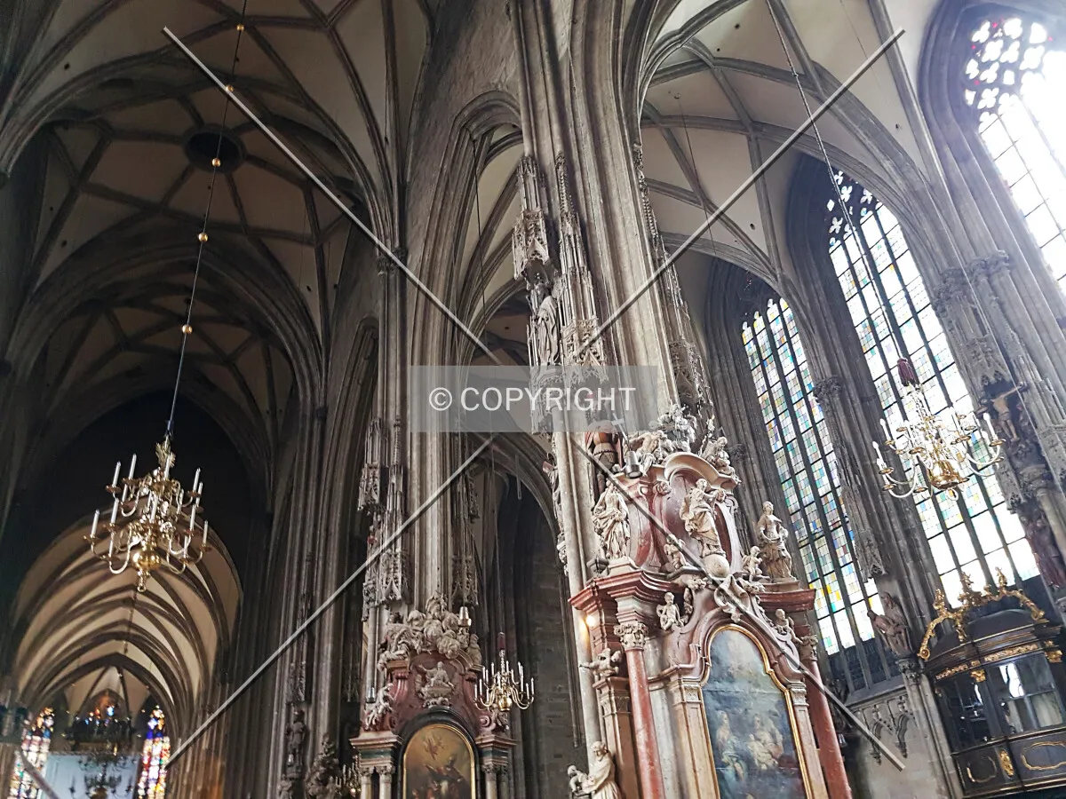 Photo 644-702-486