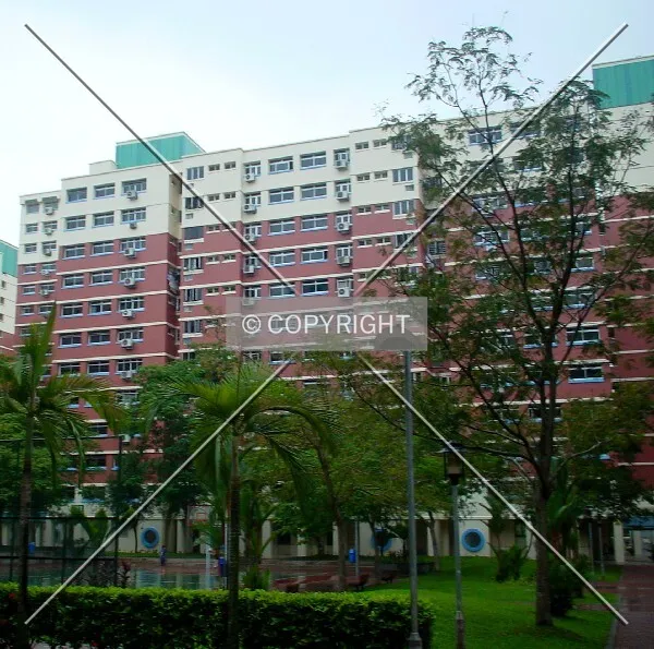 View from Block 754