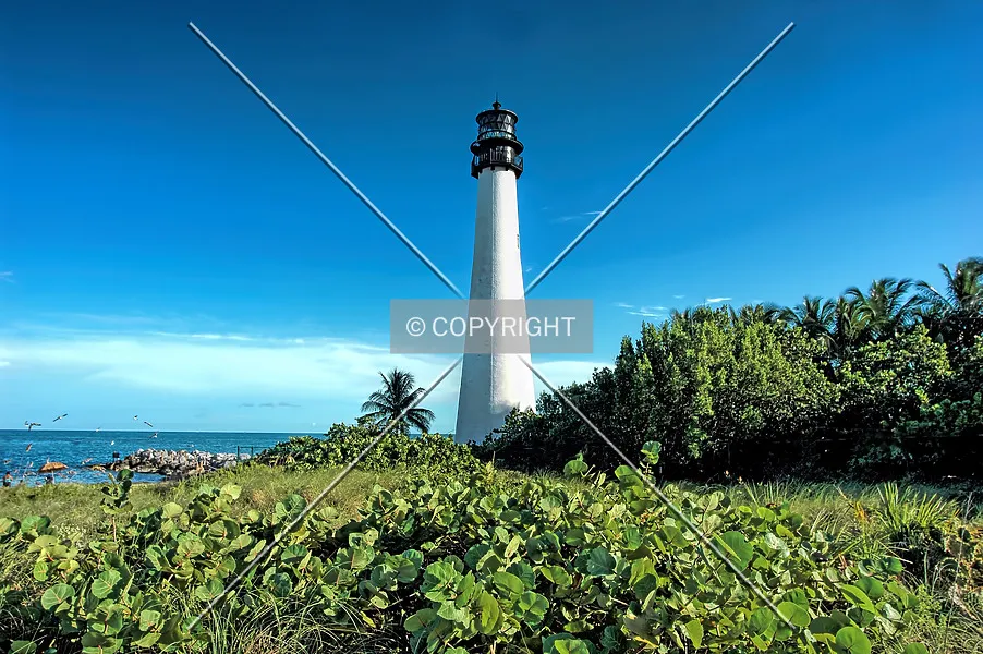 Photo 645-136-222