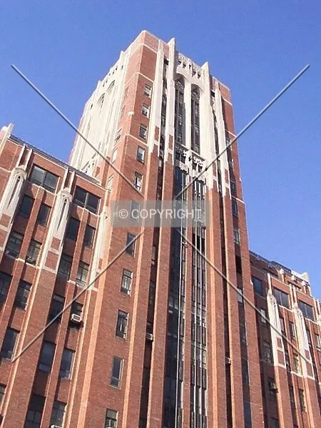 Photo 645-353-881