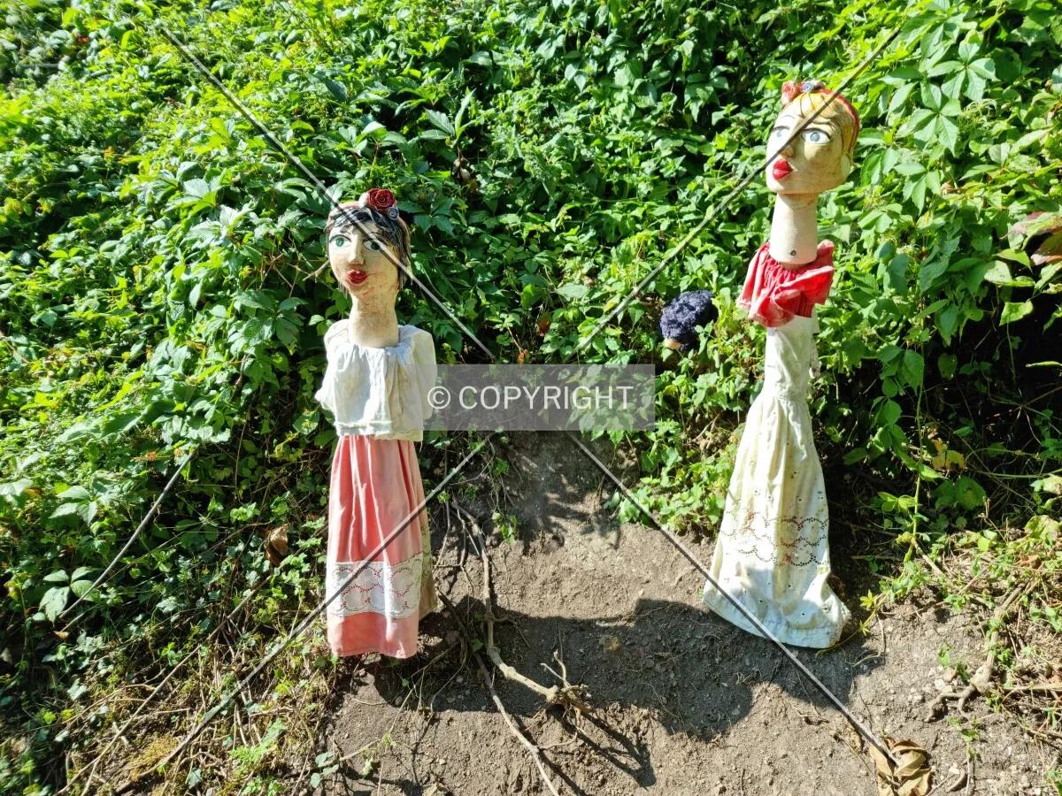 Photo 645-644-369