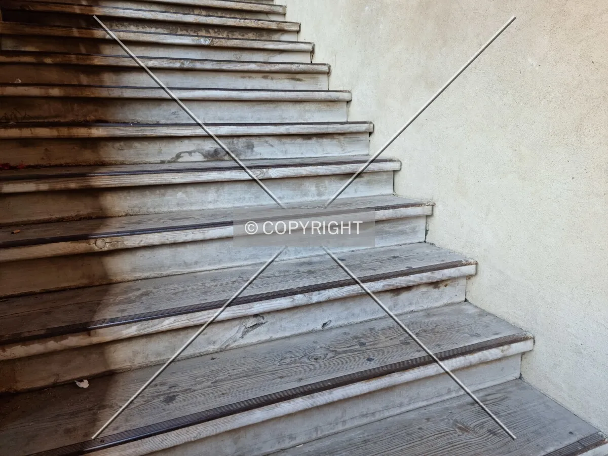 Photo 645-742-940