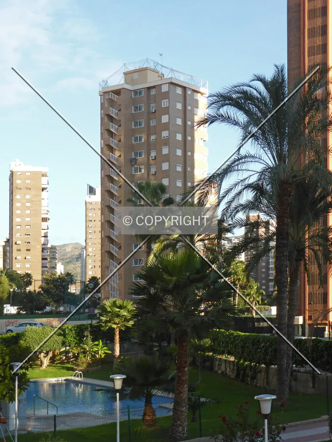 Photo 646-134-824