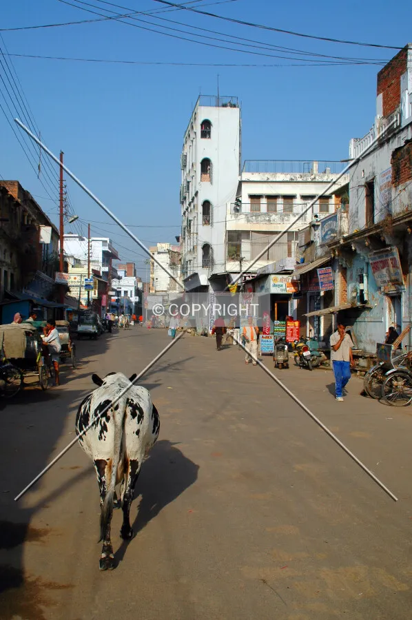 Bhelpura district street scene