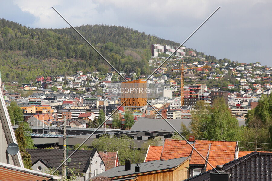 Photo 647-328-836