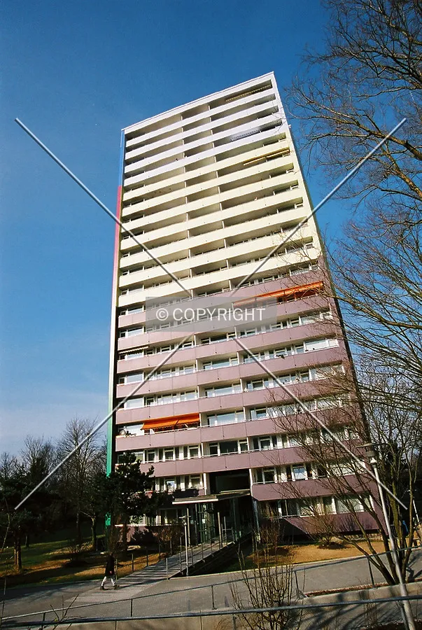 View to the top