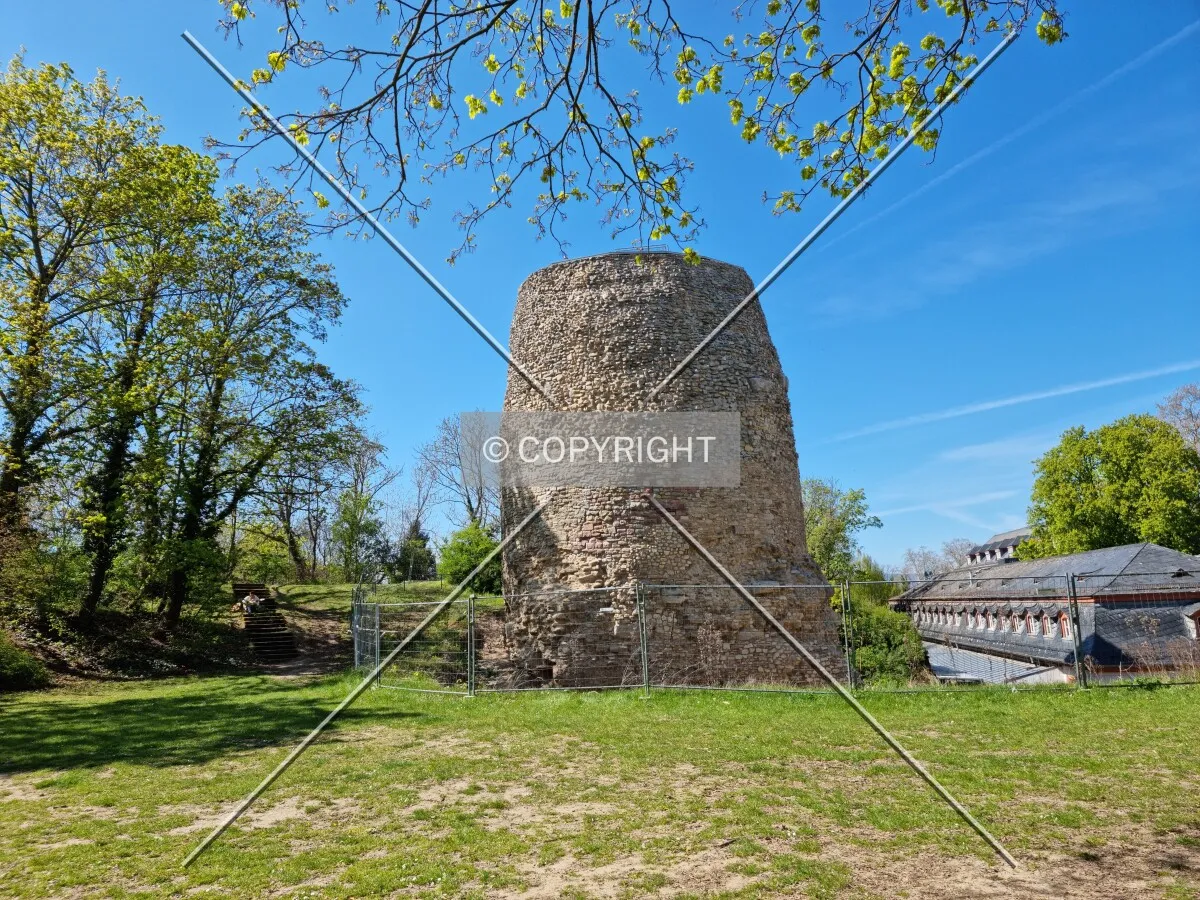 Photo 647-575-434