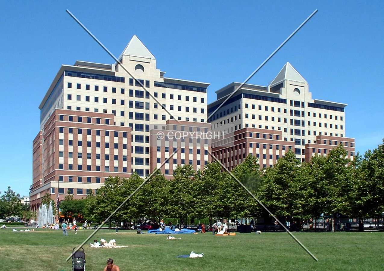 View from the southeast