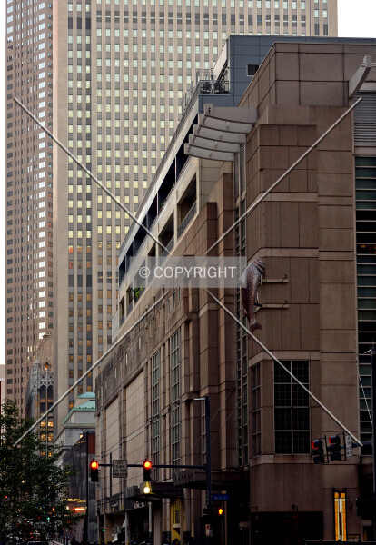 Photo 647-873-459