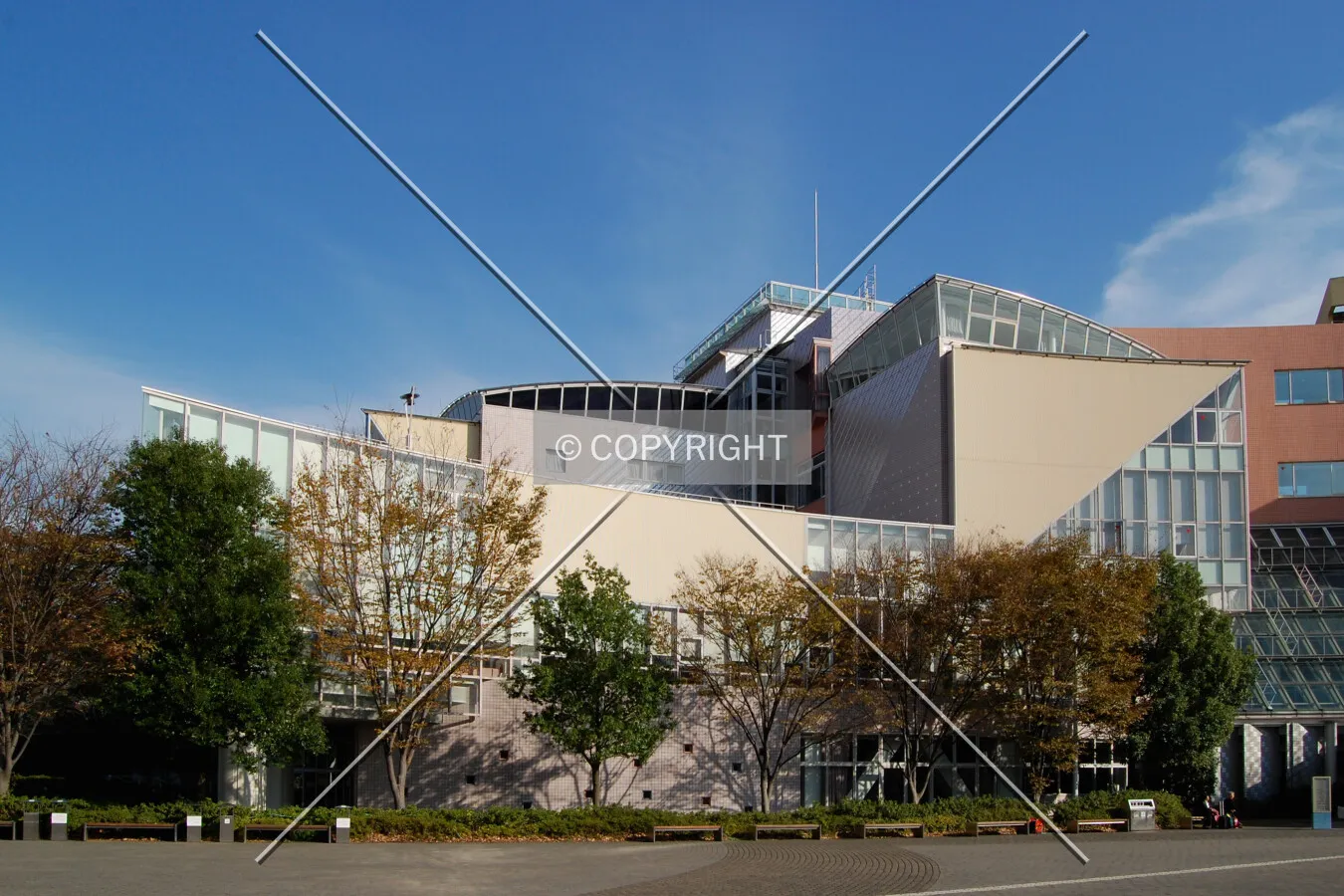 View from the west