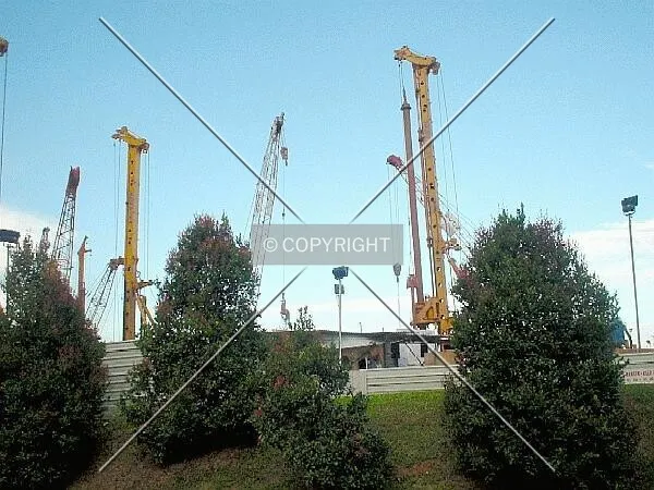 Cranes aplenty