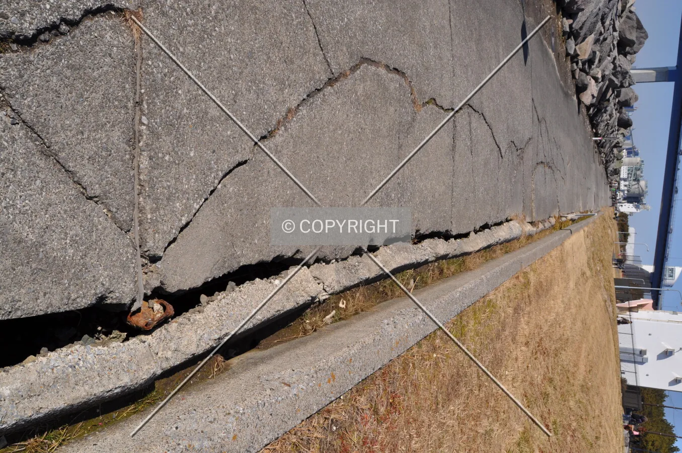 Photo 648-645-215
