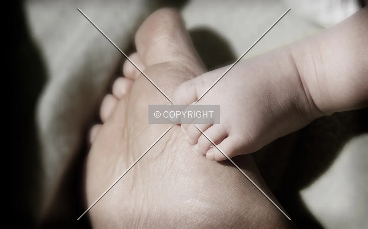 Photo 649-643-290