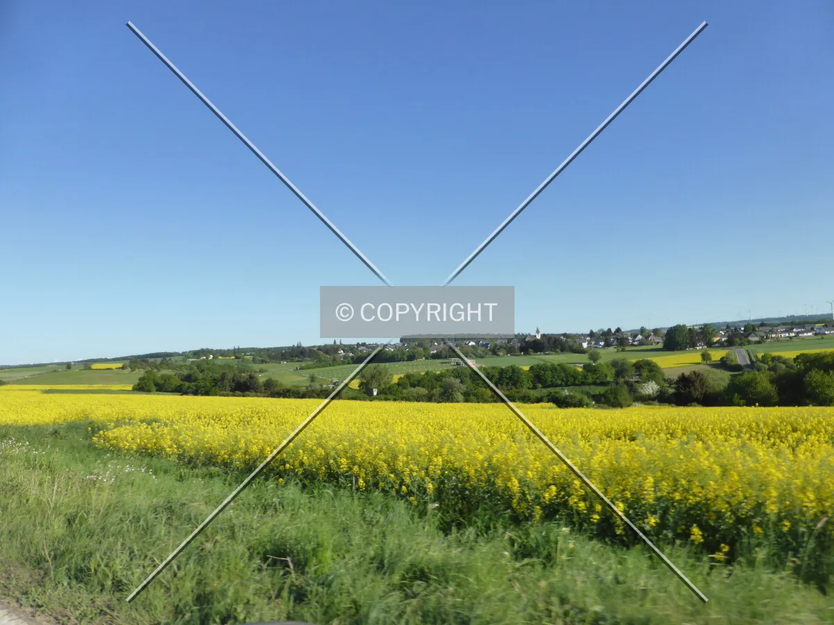 Photo 065-001-287