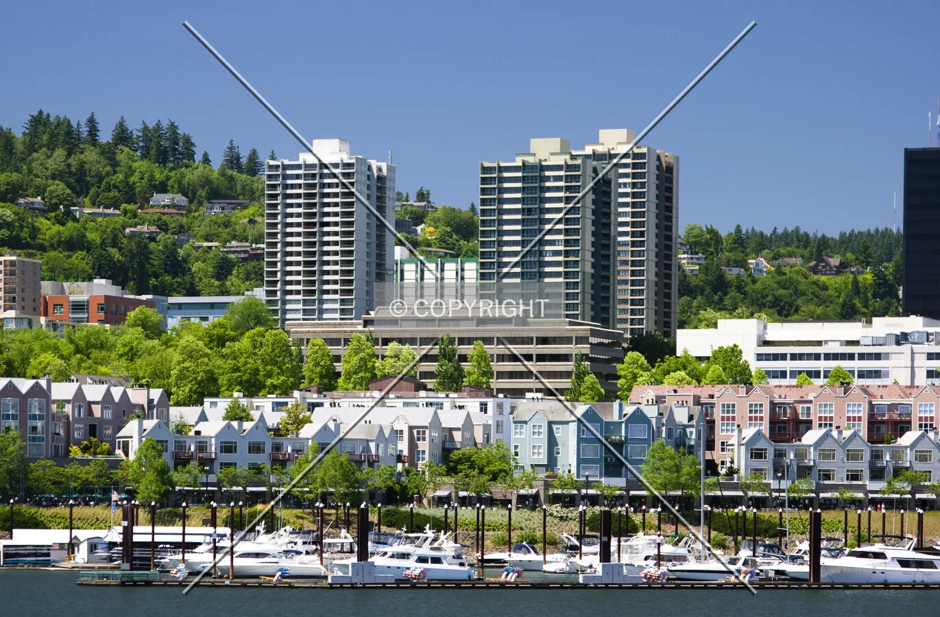 View from across the Willamette River