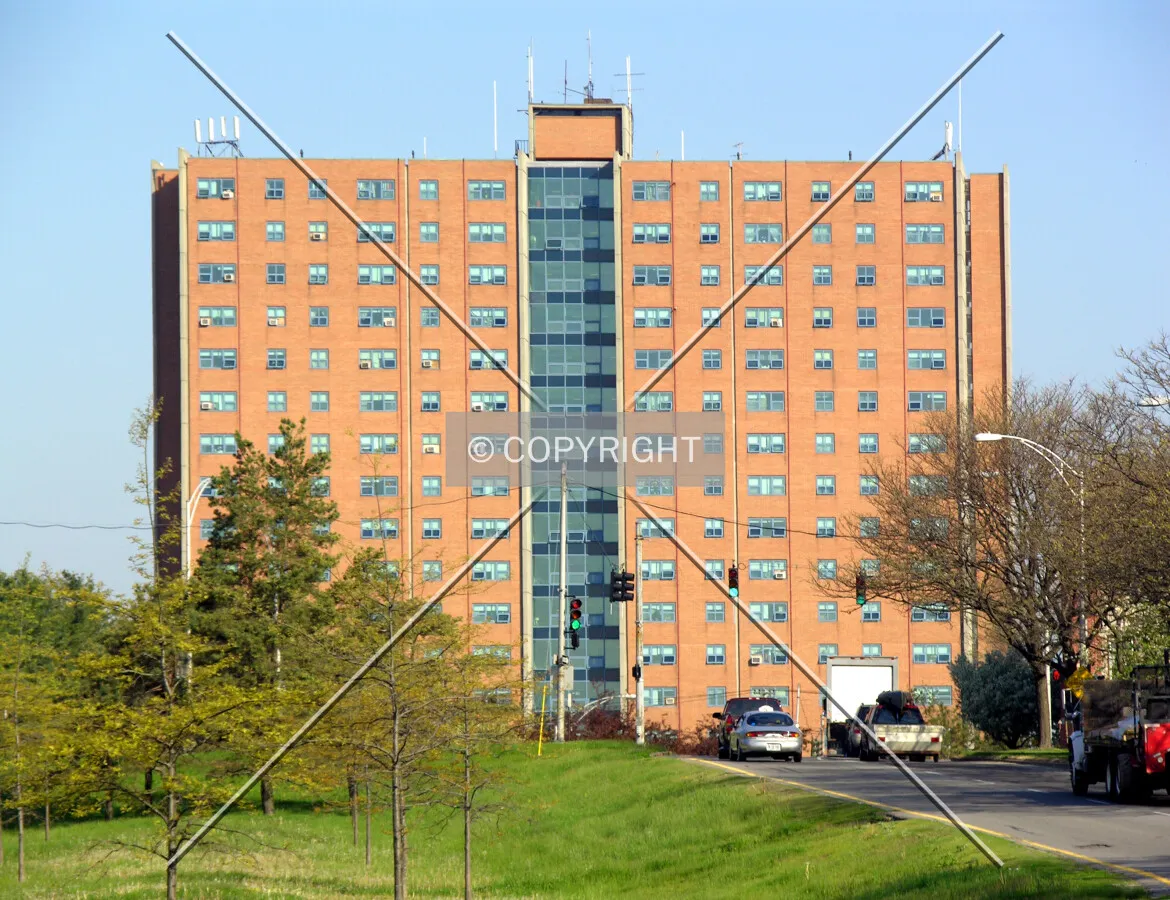 View from the east