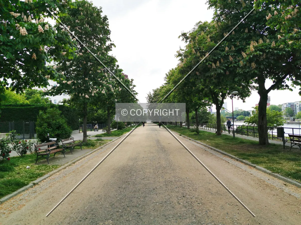 Photo 650-496-982