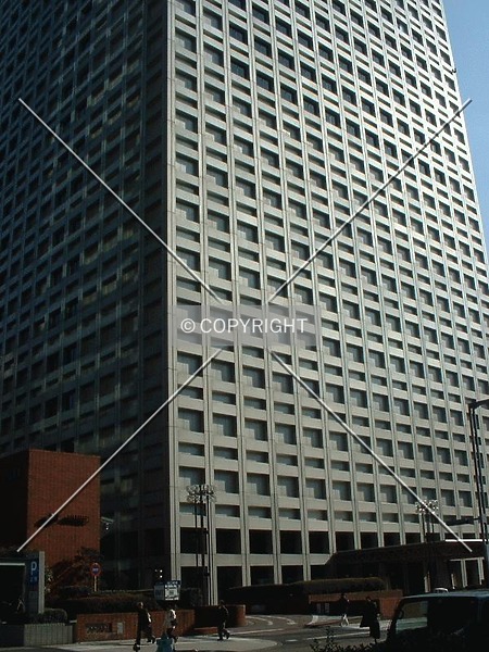 Photo 651-281-367