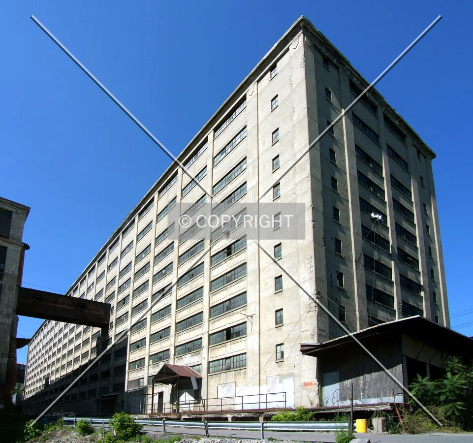 View from the southeast