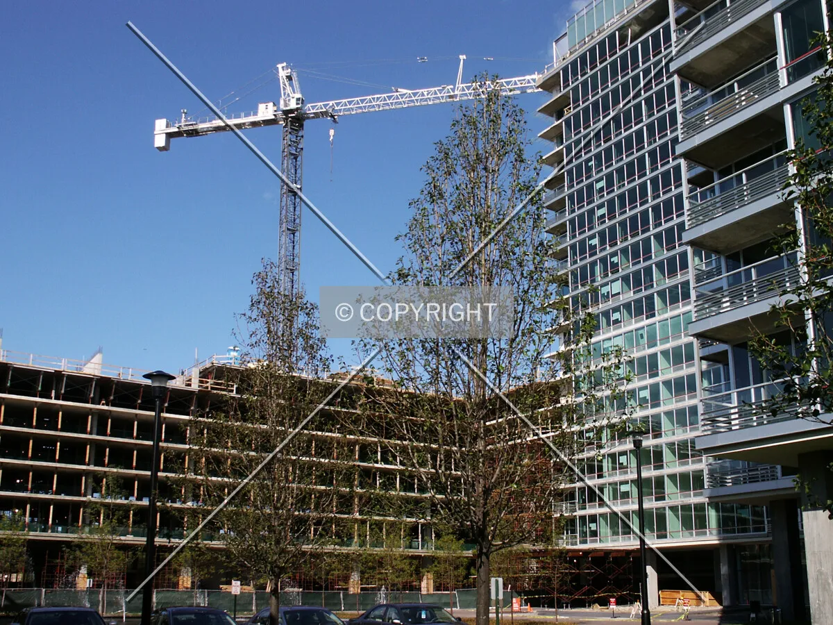 Junction of Elm and Maple towers