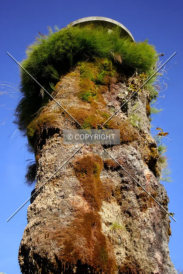 Looking up at the plants growing on the upper column