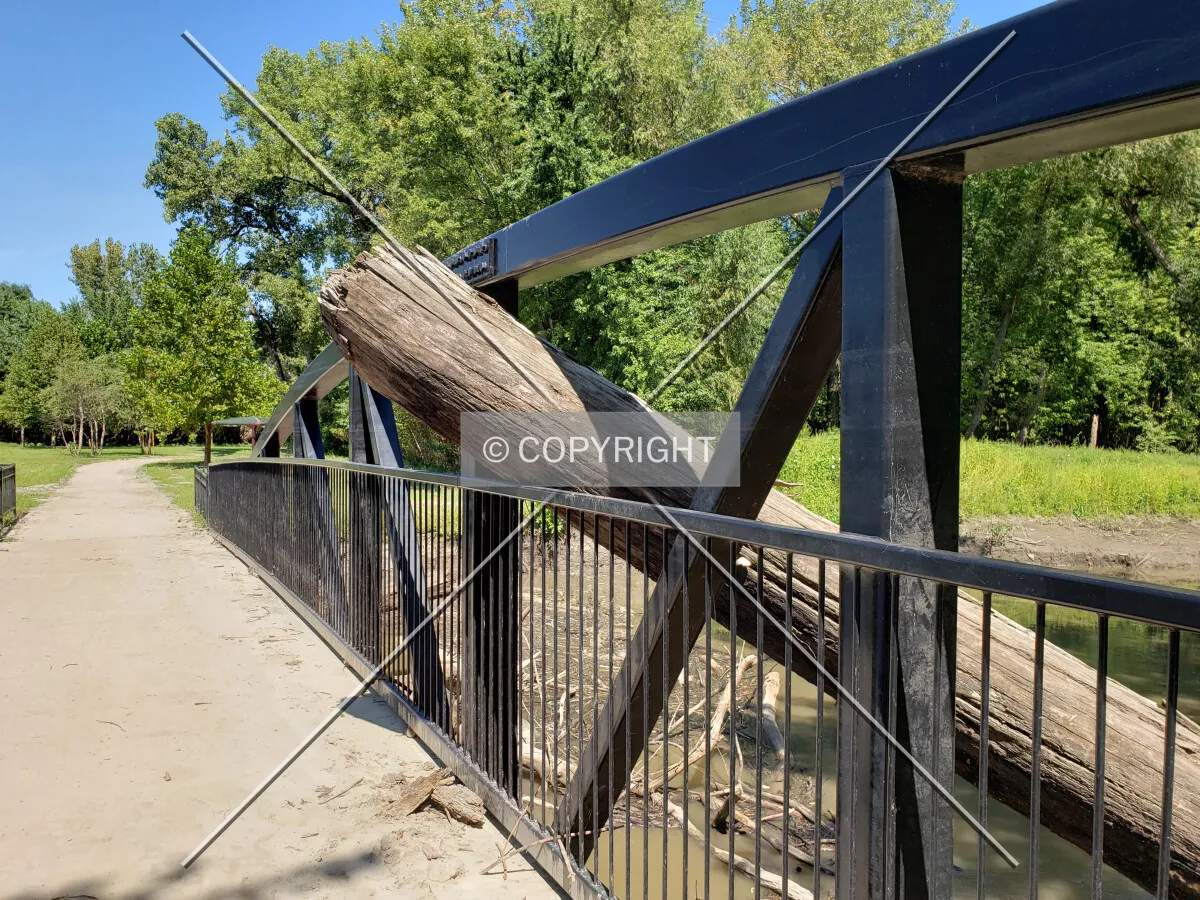 A tree lodged in the bridge after the 2019 Mississippi River flood; September 7, 2019